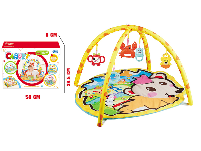 Baby Fitness Blanket