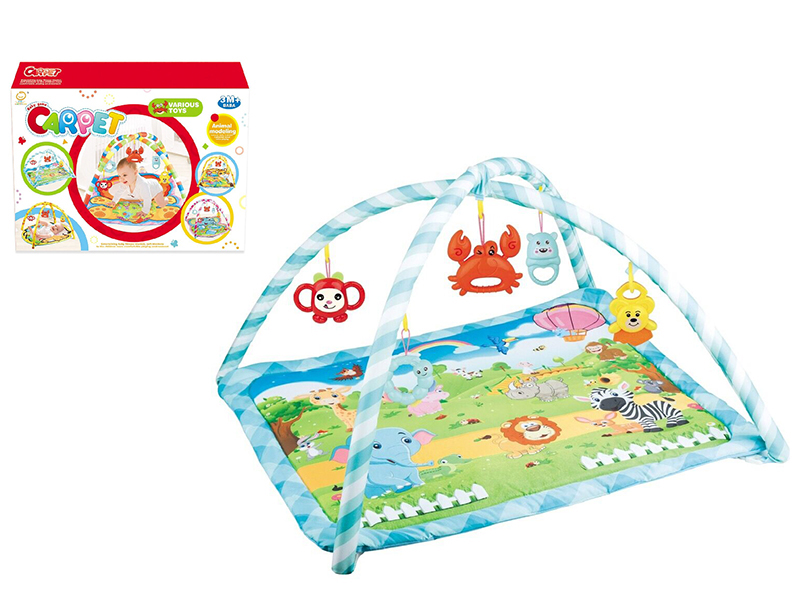 Baby Fitness Blanket