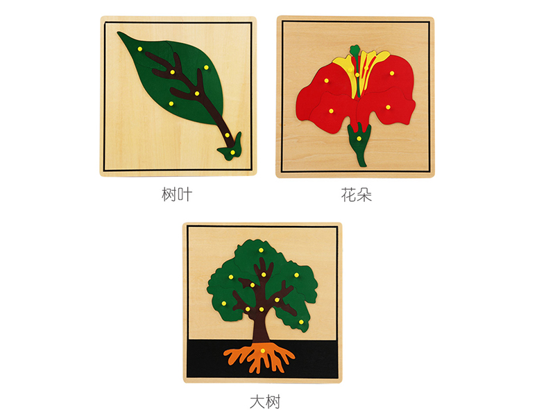 Wooden Plant Jigsaw Puzzle