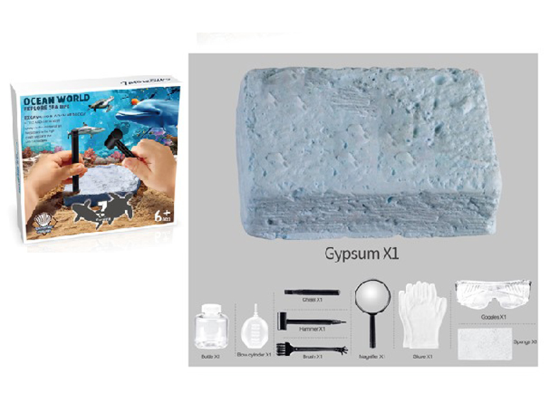 Archaeological Marine Animal Set