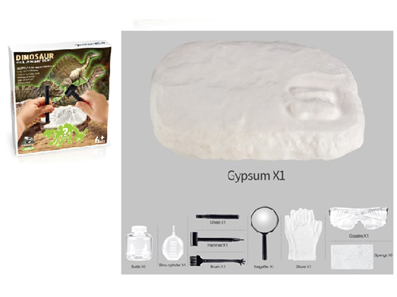 Dinosaur Fossil Archeology Dig Kit