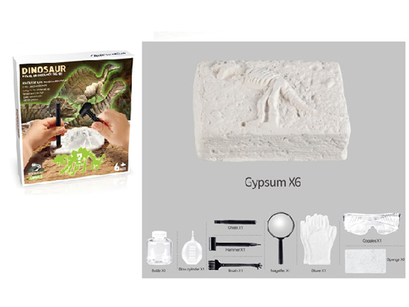 Dinosaur Fossil Archeology Dig Kit