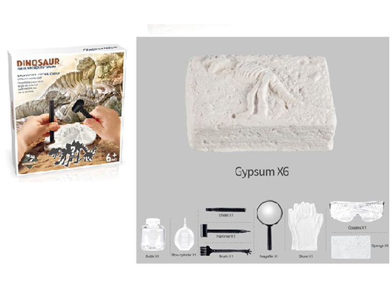 Dinosaur Fossil Archeology Dig Kit