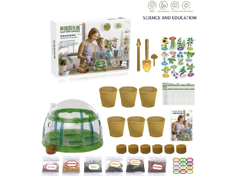 Plant Grow Sun Room