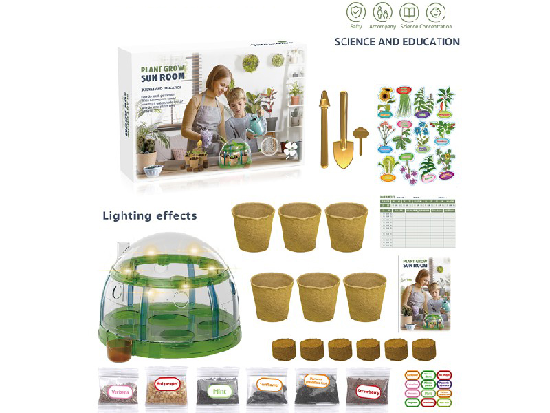 Plant Grow Sun Room