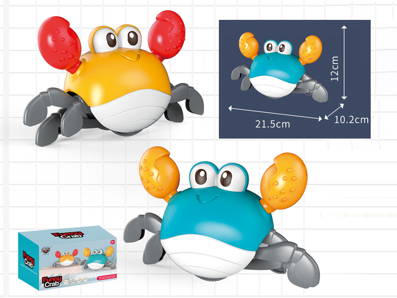 Land And Water Crabs