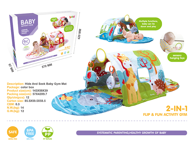 2 In 1 Baby Fitness Blanket