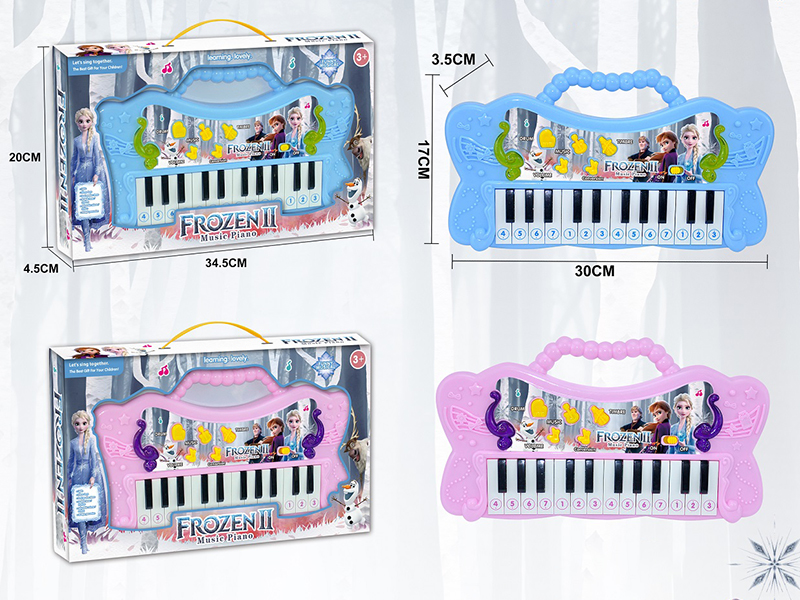 Frozen Multifunctional Electronic Organ