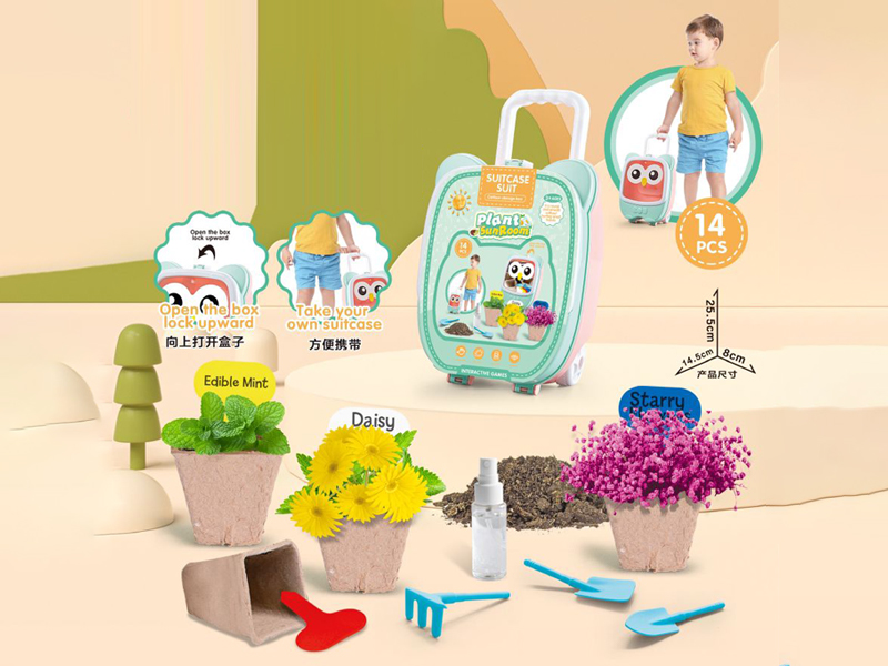 Planting Series Toys