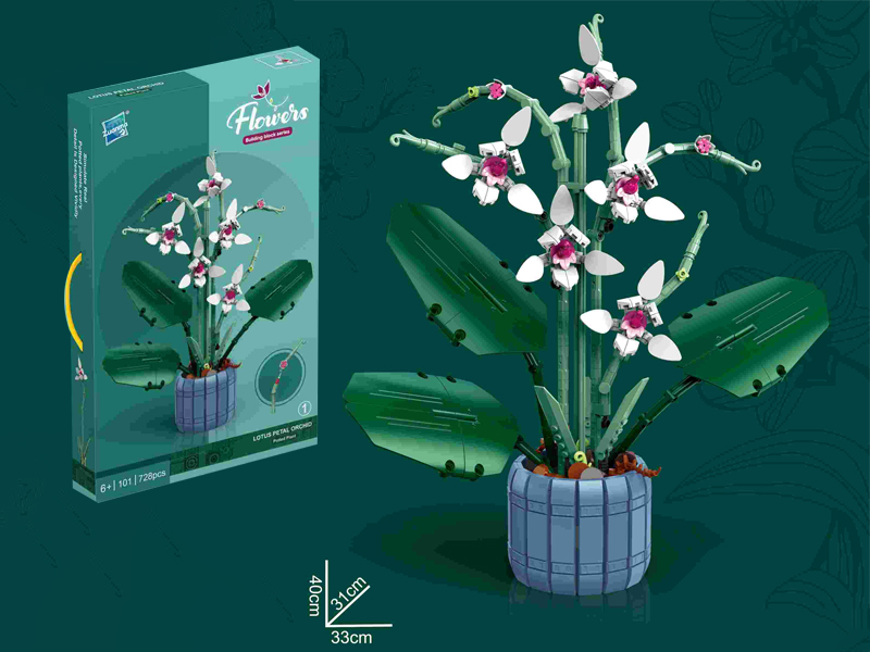 Building Blocks Of Potted Moth Orchid