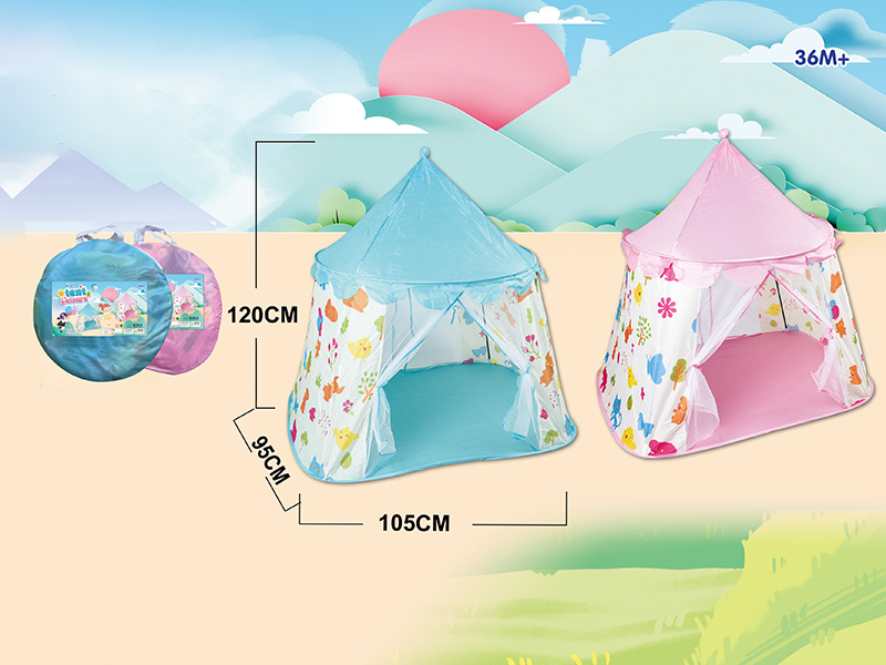 Pink/Blue Tent