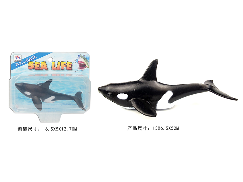 Pull Back Killer Whale