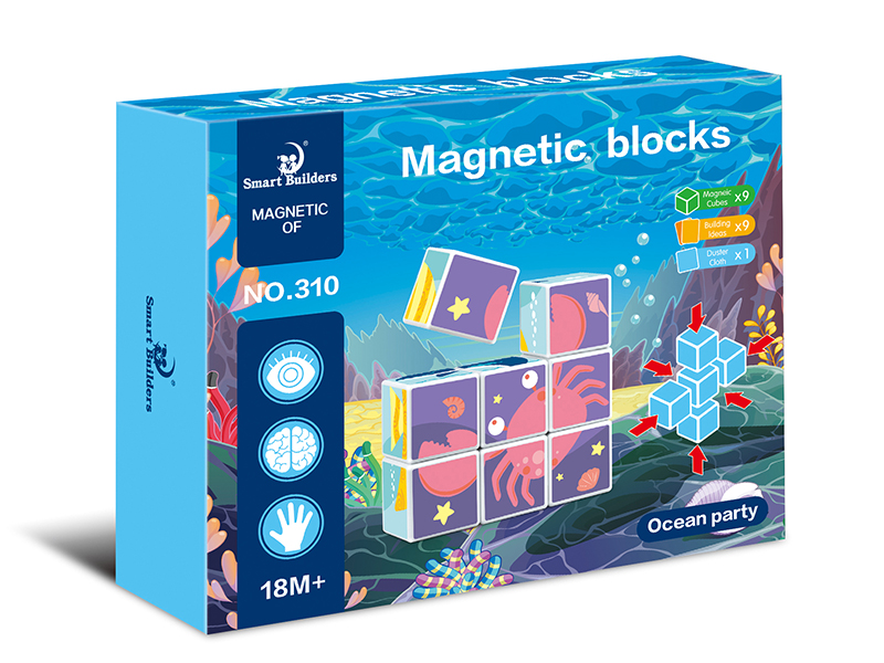 Ocean Magnetic Cube Puzzle Blocks 9pcs