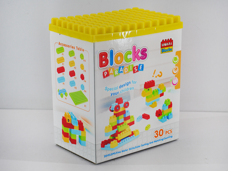 Building Blocks 30pcs