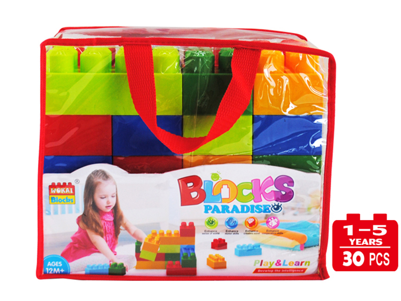 Building Blocks(30PCS)