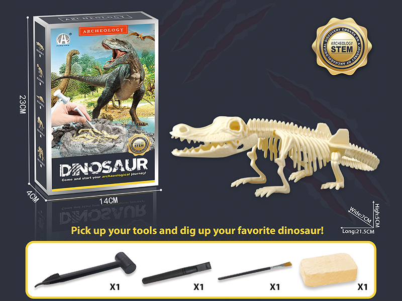 Dinosaur Fossil Archaeological Dig - Champsosaurus
