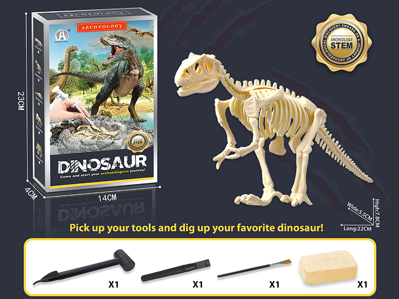 Dinosaur Fossil Archaeological Dig - Tyrannosaurus Rex