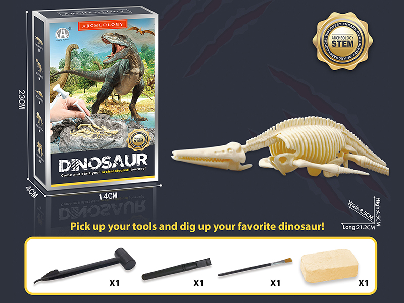 Dinosaur Fossil Archaeological Dig - Pliosaurus