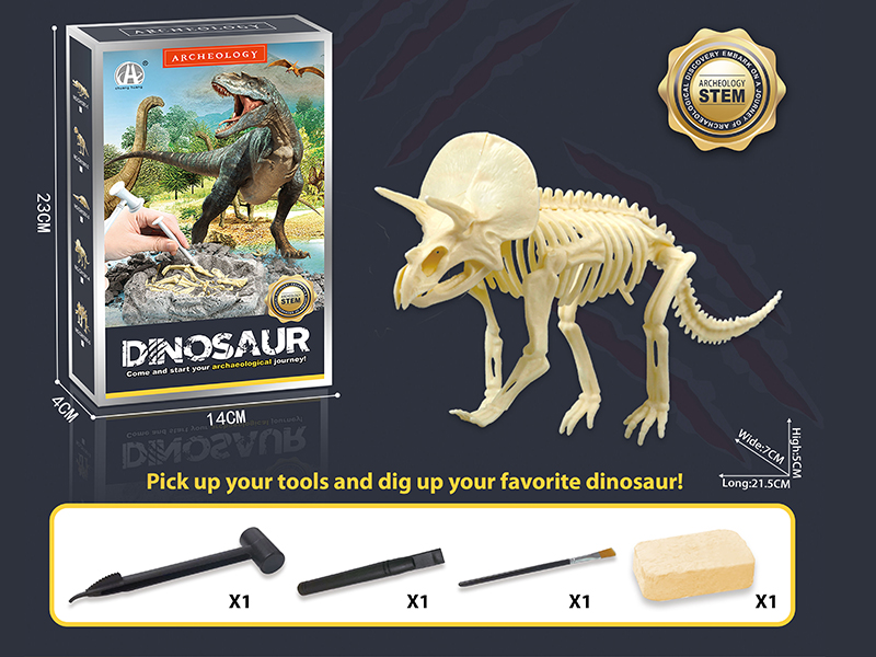 Dinosaur Fossil Archaeological Dig - Triceratops