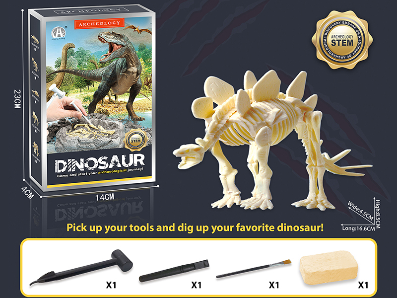 Dinosaur Fossil Archaeological Dig - Stegosaurus