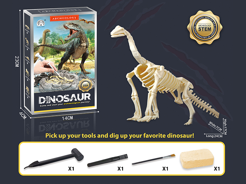 Dinosaur Fossil Archaeological Dig - Diplodocus