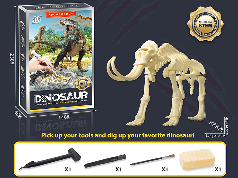 Dinosaur Fossil Archaeological Dig - Mammuthus