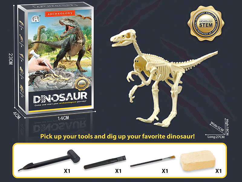 Dinosaur Fossil Archaeological Dig - Velociraptor