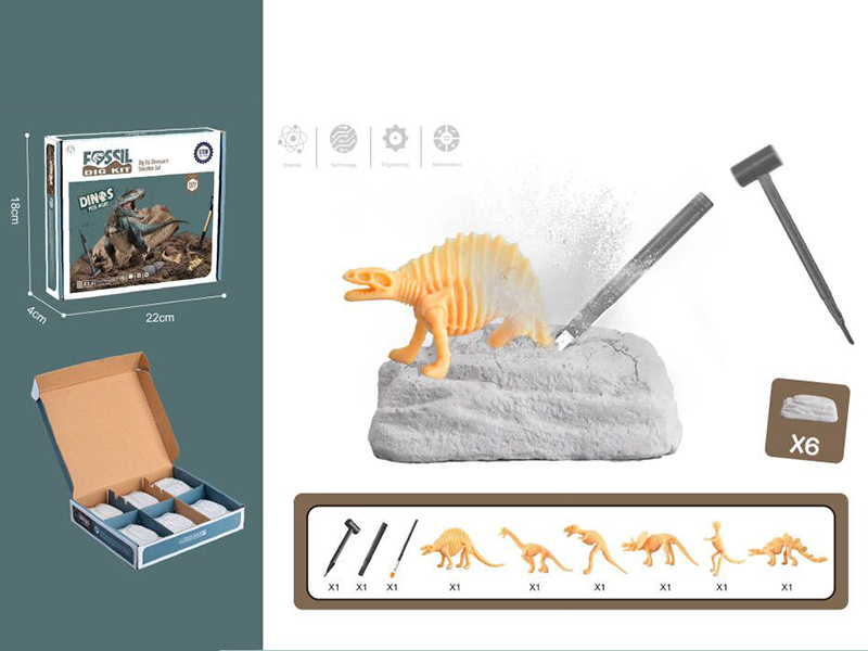 (6)Dinosaur Fossil Archaeological Dig