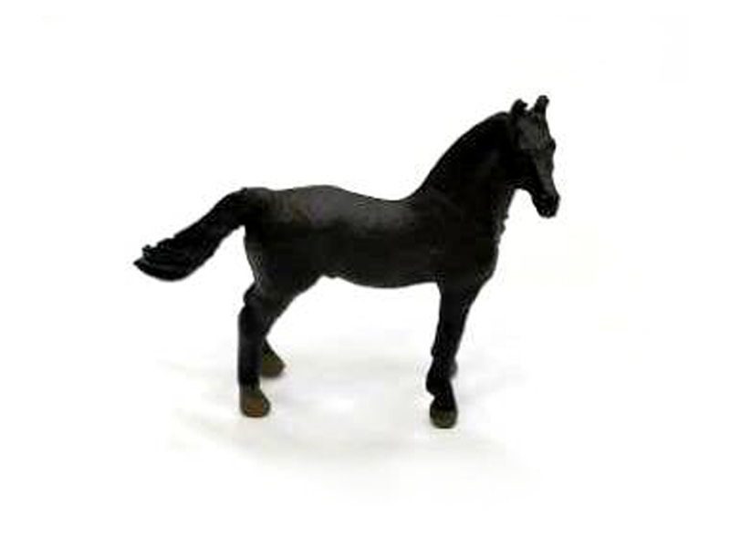Morgan Horse