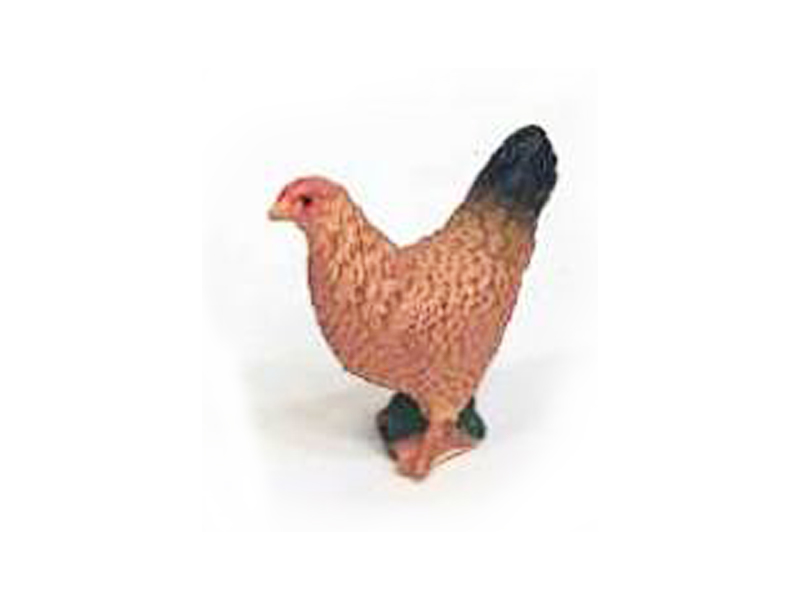 Hen