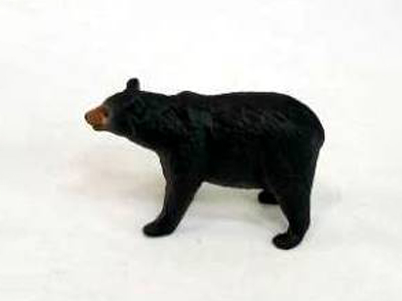 Black Bear