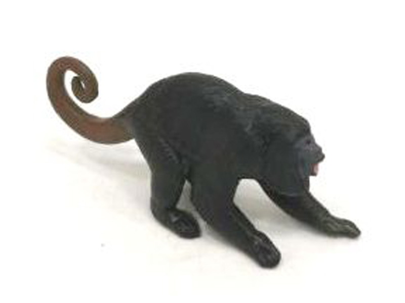 Black Howler Monkey