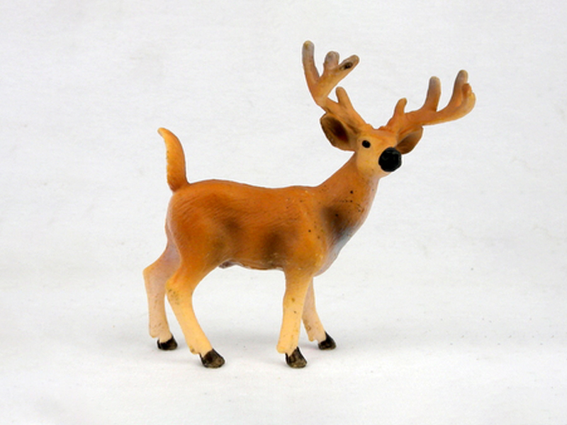 White Tailed Deer (Large)