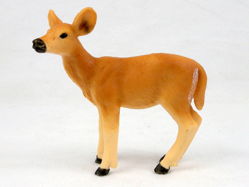 White Tailed Deer (Medium)