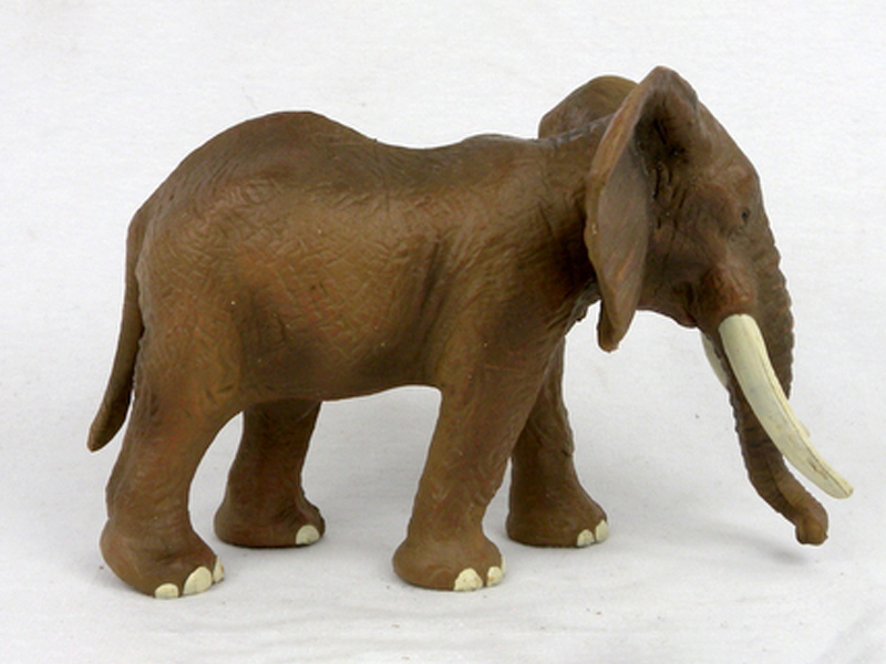 Asian Female Elephant