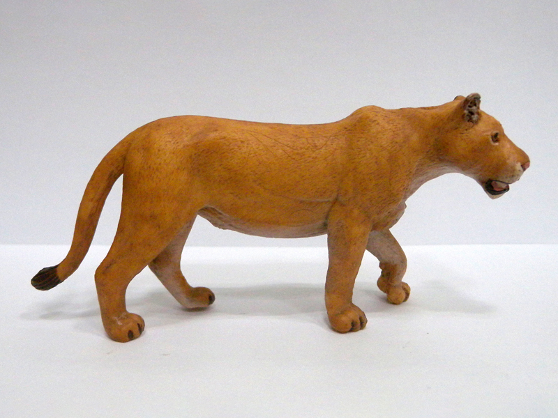 African Lioness