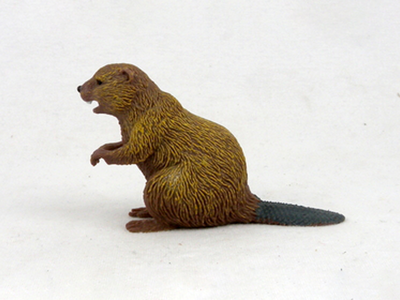 Sitting Beaver