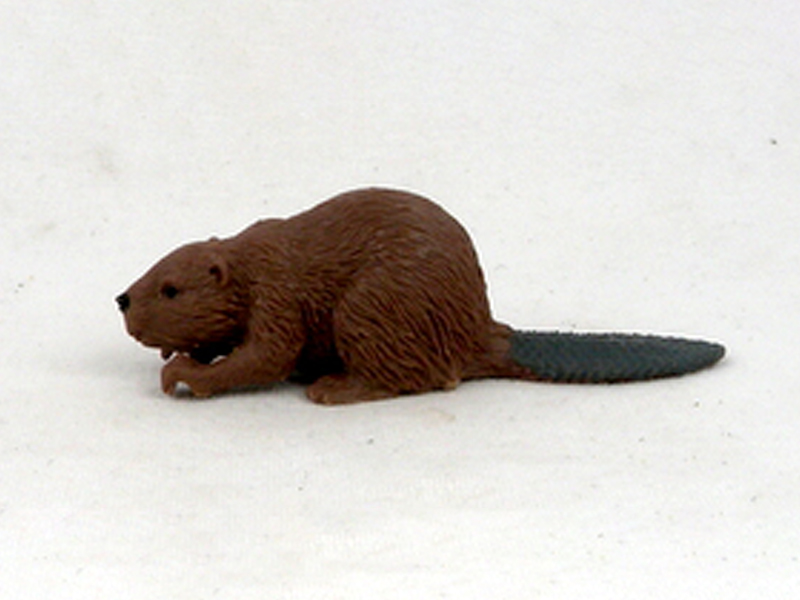 Lying Beaver