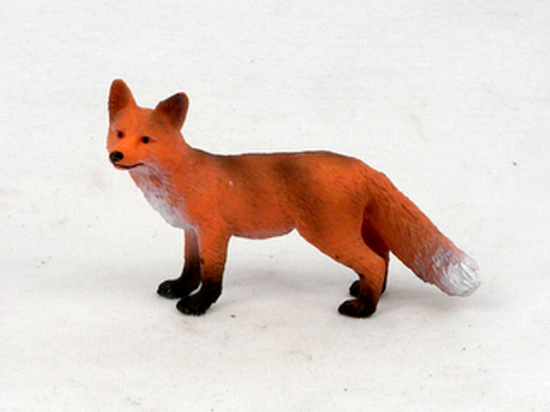 Big Red Fox