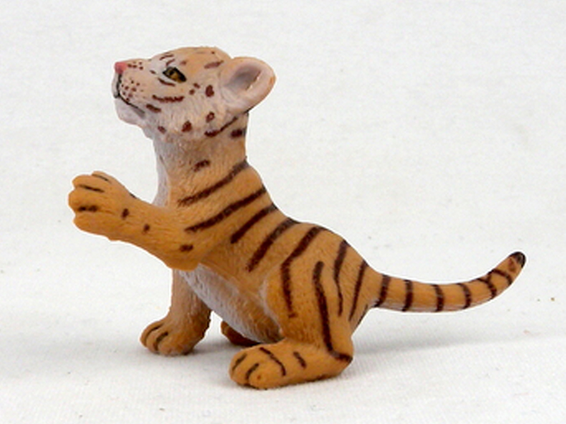 Sitting Little Red Tiger