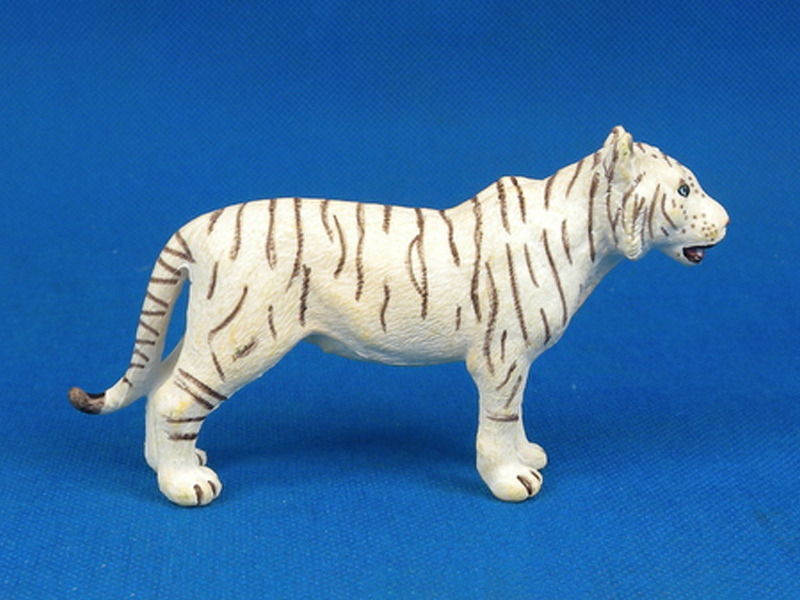 Female White Tiger