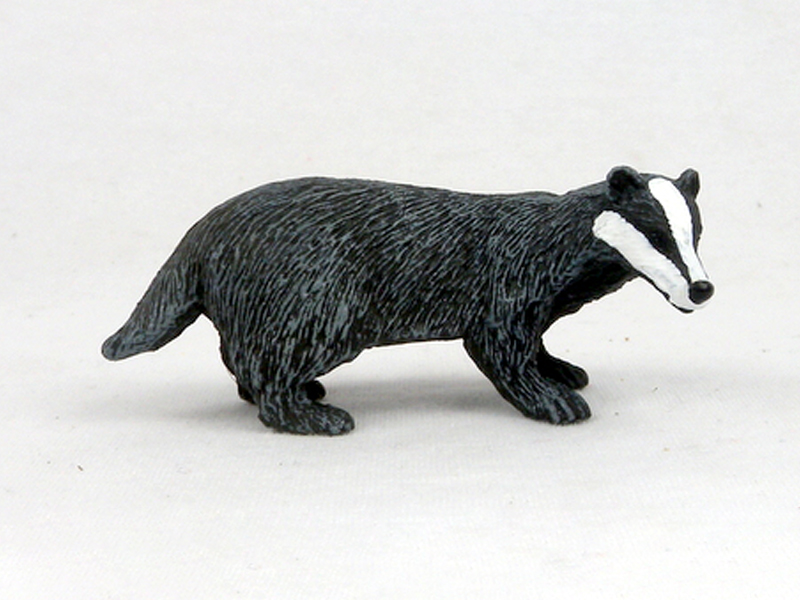 Standing Badger