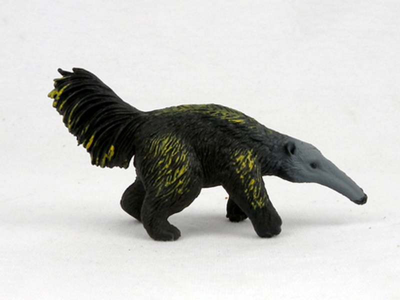Anteater