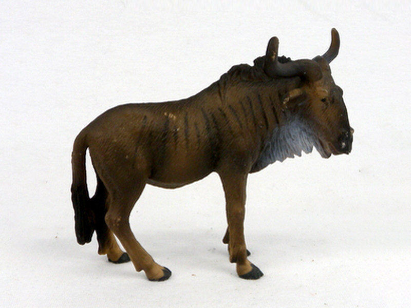 Bighorn Horse