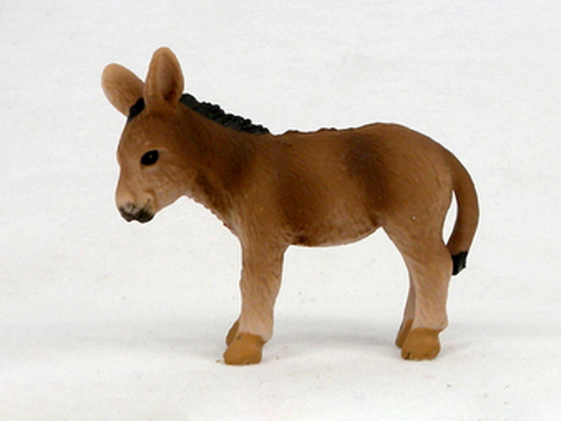 Little Donkey