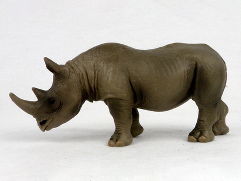 Big Rhinoceros