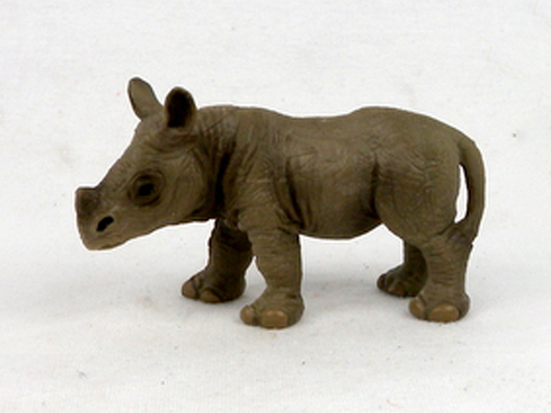 Small Rhinoceros