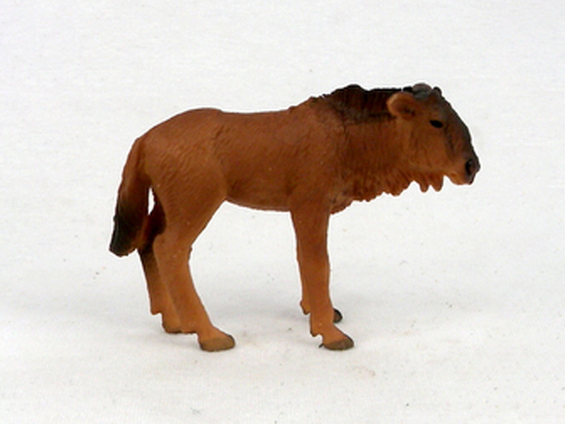 Little Wildebeest