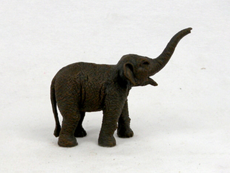 Small Asian Elephant