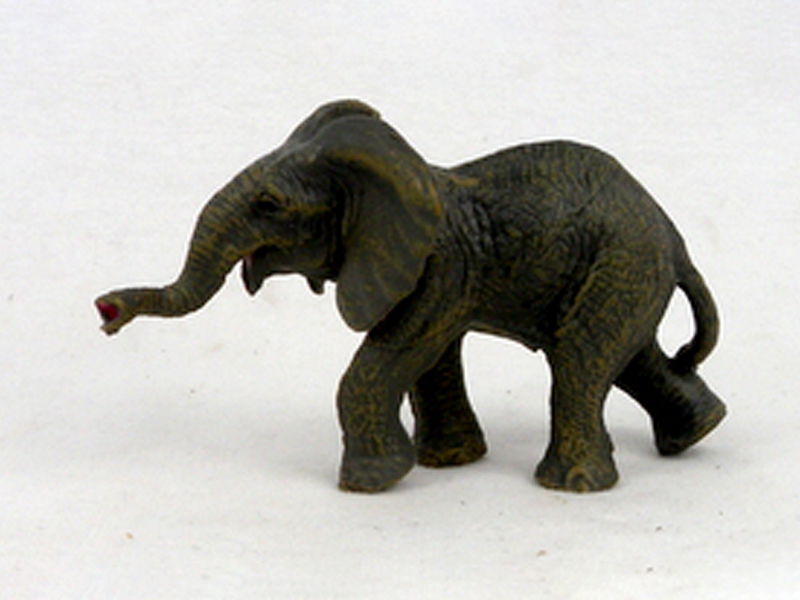 Small African Elephant
